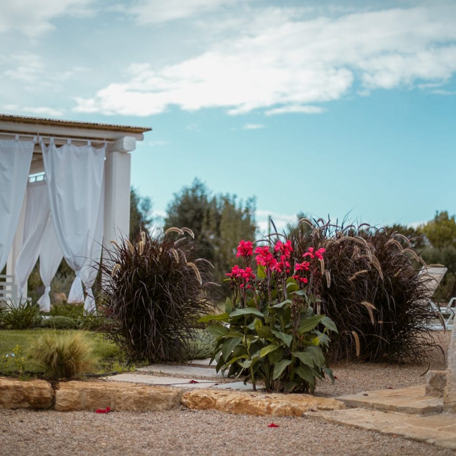 Trulli Petralux