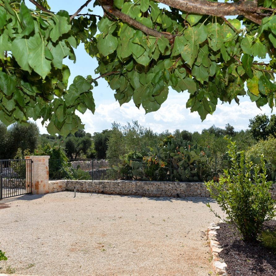 Casale Dolina Verde