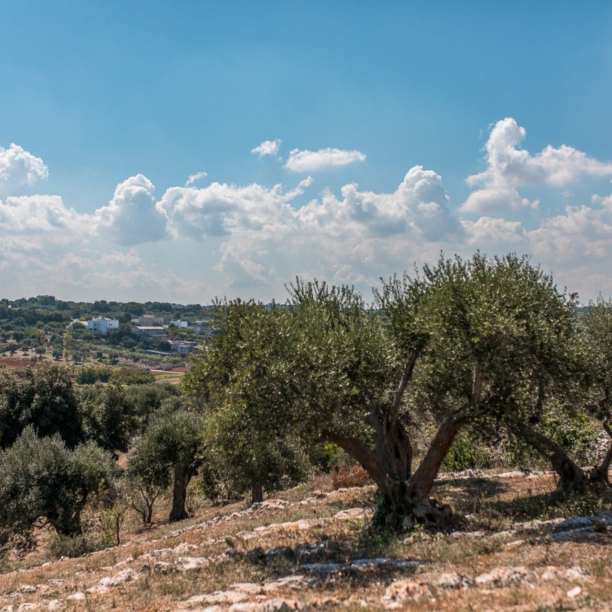 Luxury Trullo Termetrio