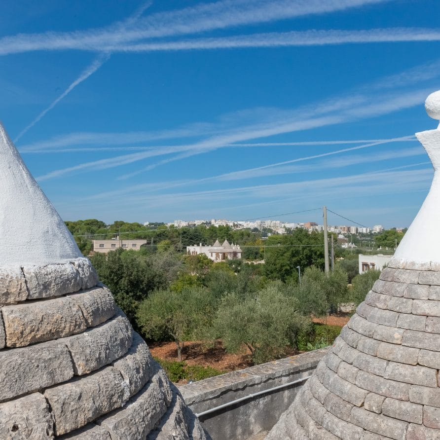 Masseria in Trulli Valle d'Itria - Trullo Suite