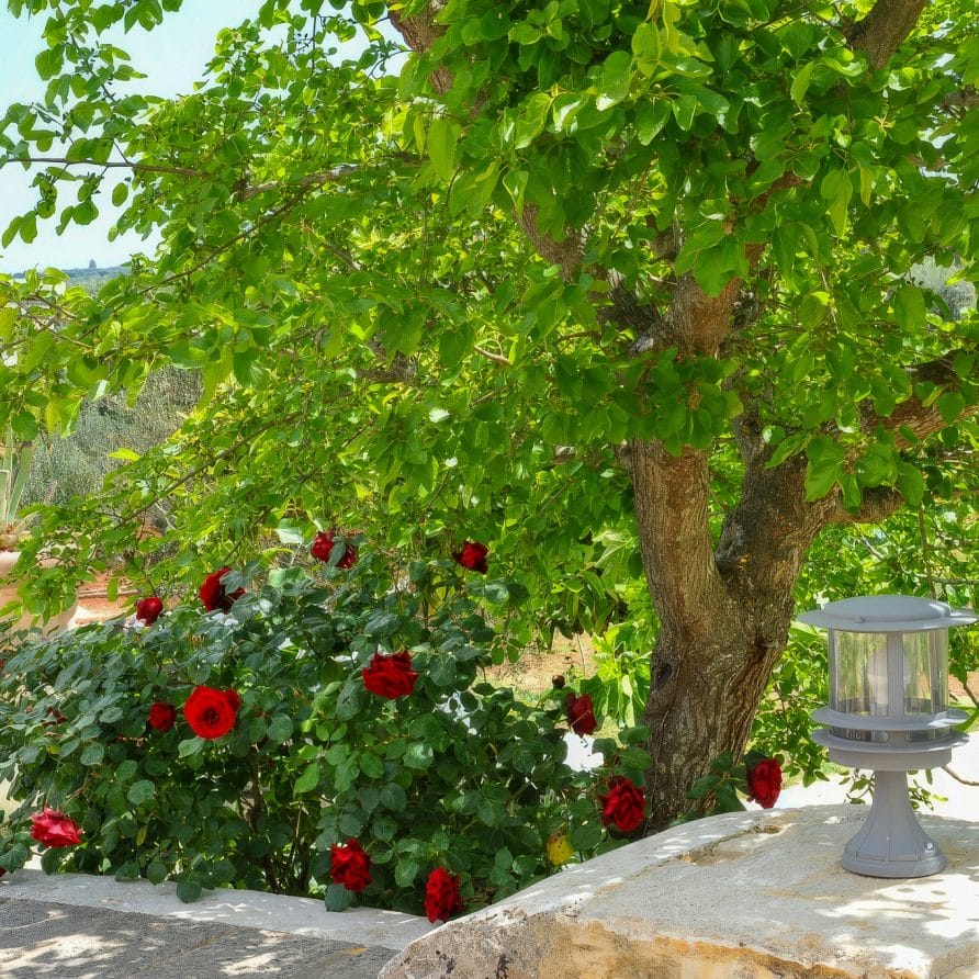 Tenuta Bianca