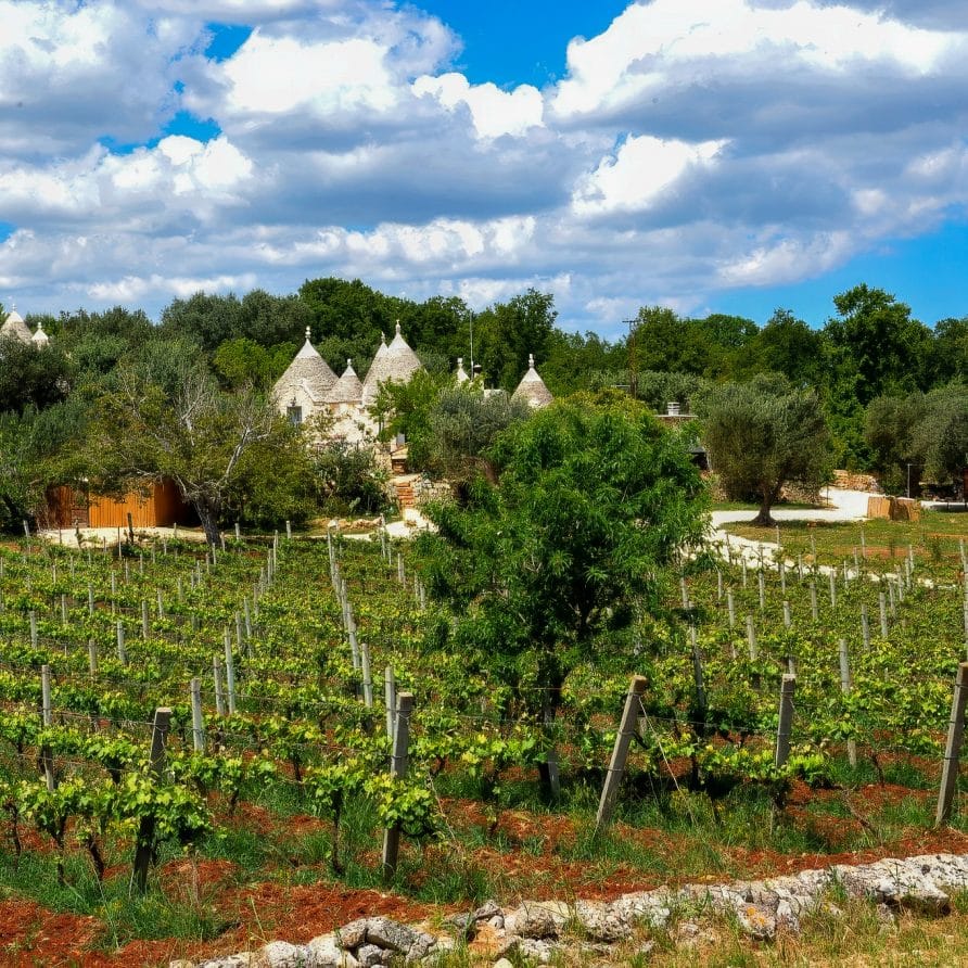 Tenuta Bianca