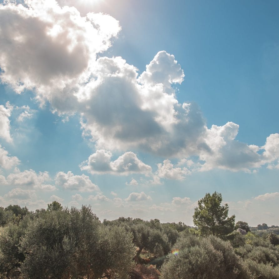 Luxury Trullo Termetrio