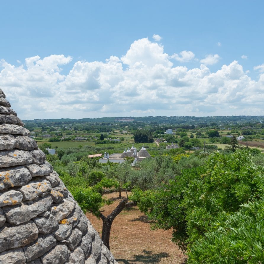 Trullo Tre Corbezzoli