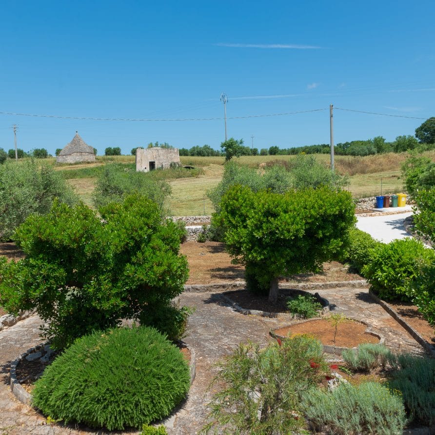 Trullo Tre Corbezzoli