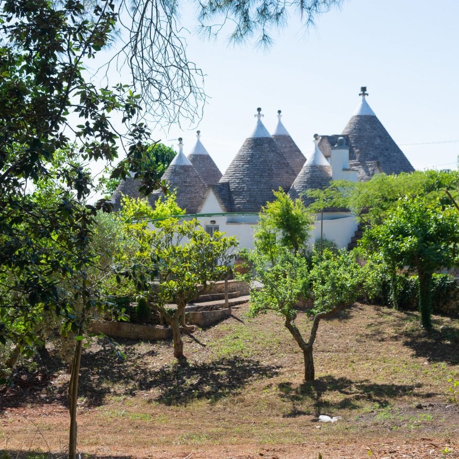 Trullo Tre Corbezzoli
