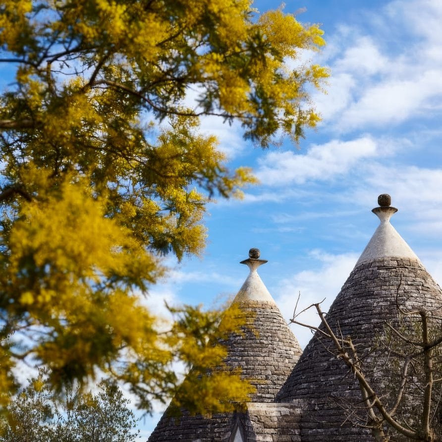 Trulli Azzalema