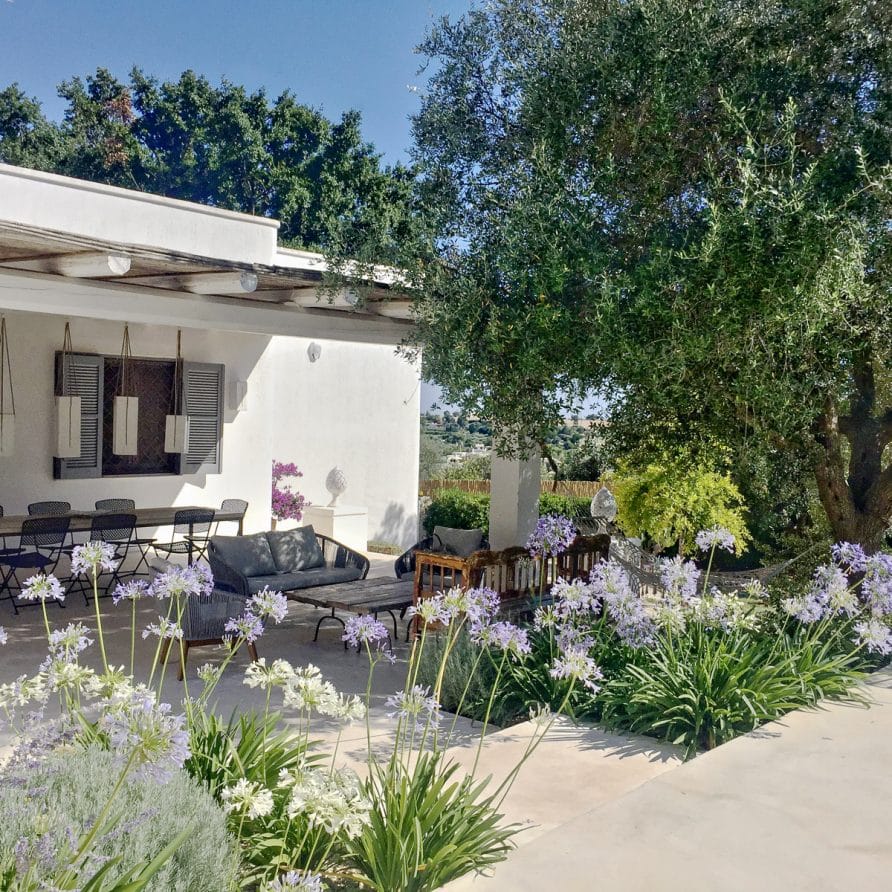 Il Giardino di don mimì