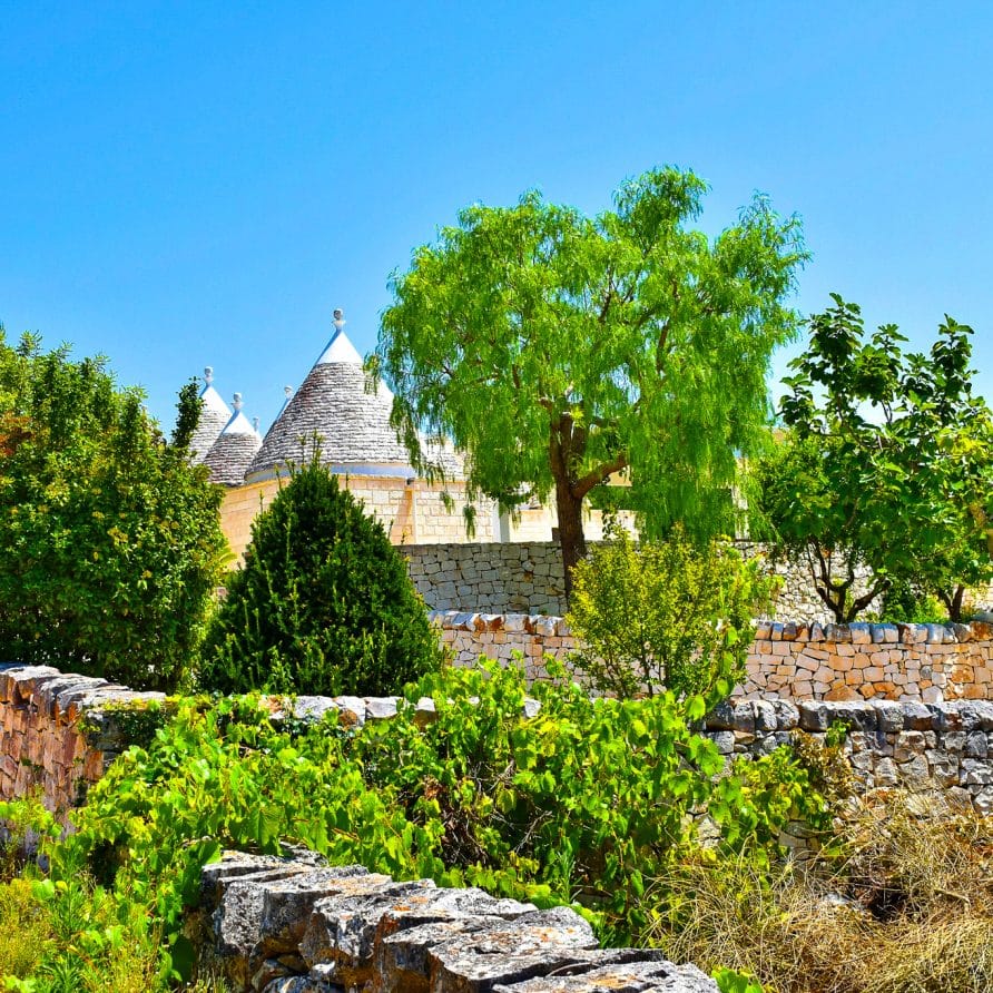 Trulli dei Carrubi